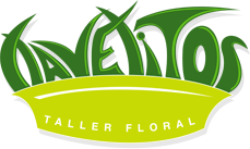 Taller Floral Clavelitos